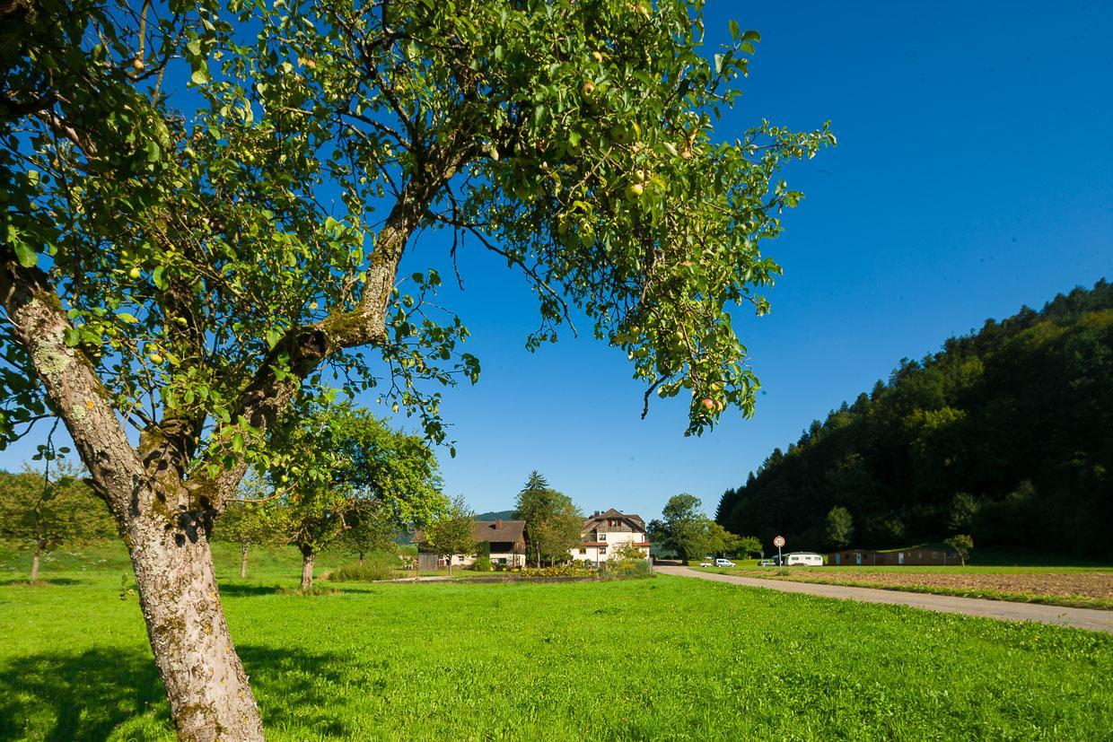 Landgasthof Kinzigstrand Biberach bei Offenburg Buitenkant foto